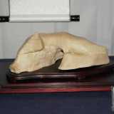 Un suiseki raffigurante un maiale accovacciato, scoperto dal 76enne barese Vito Di Venere 